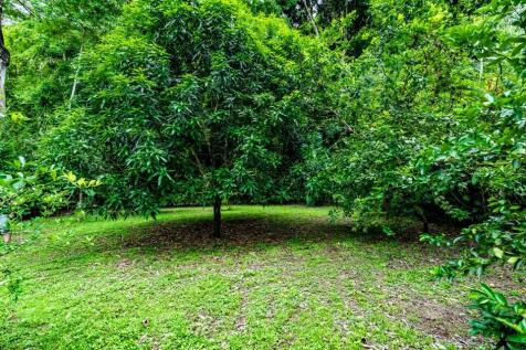 Property Image 63