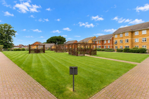 Communal Garden