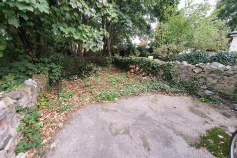 Rear garden (2)
