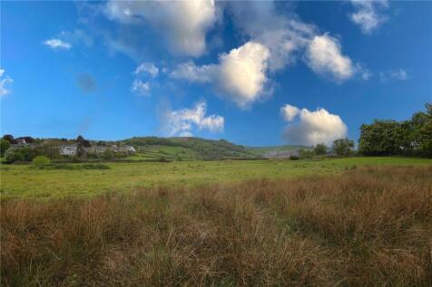 View From Garden