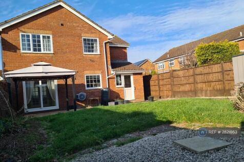 Back Garden
