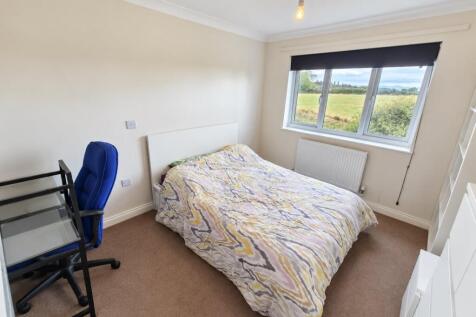 Saviano Way, Bridgwater, Somerset photo 5