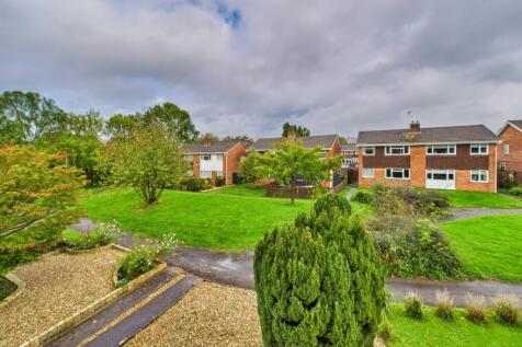 CAM02023G0-PR0175-STILL039