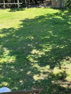 PHOTO-2024-06-26-15-