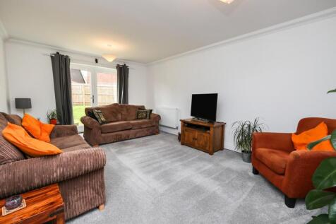 tlc_947b303c-46a2-4453-b900-a79136b1269c_fe4b1e3.j