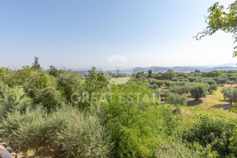 Panorama e Particolari