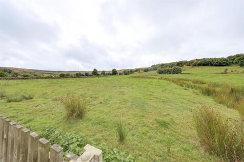 View from Garden