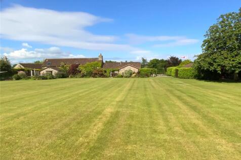Garden and Rear