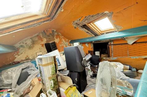 IMG 1085 T202508071224.jpg