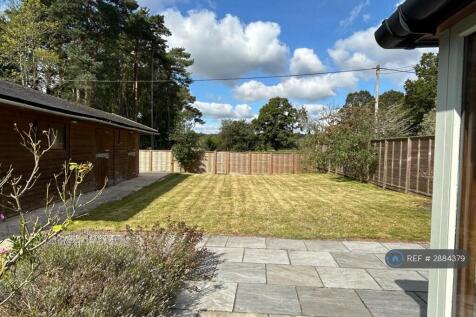 Back Garden
