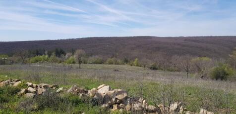 Grassy field bordered by a stone wall with trees and hills visible in the background under a blue sky.