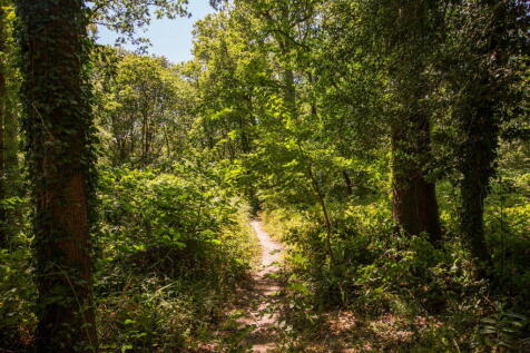 Property Image 26