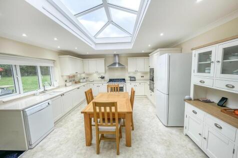 tlc_1ea443ec-7e5f-481f-b332-e2677196cdd6_2a5924f.j