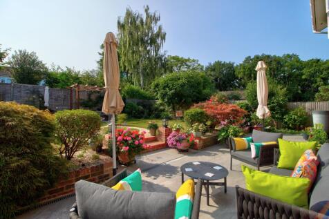 Vibrant Garden Space