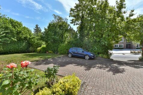 Driveway/Parking