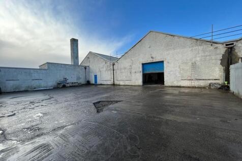 Cleared yard space.jpg