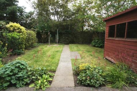 Back garden.JPG
