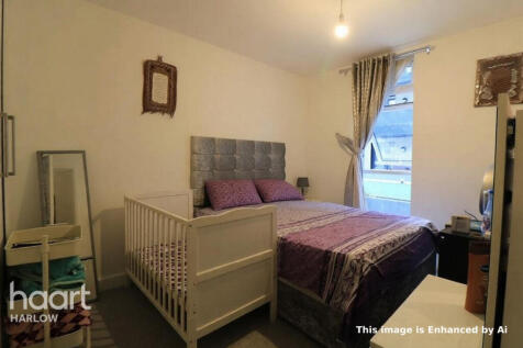 Wych Elm, Harlow photo 4