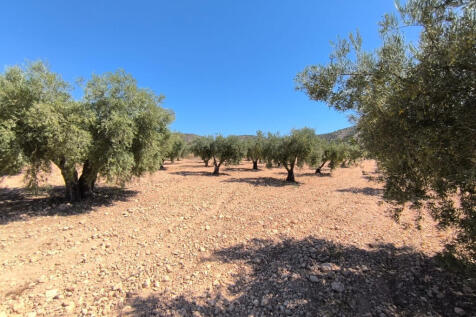 Image 15