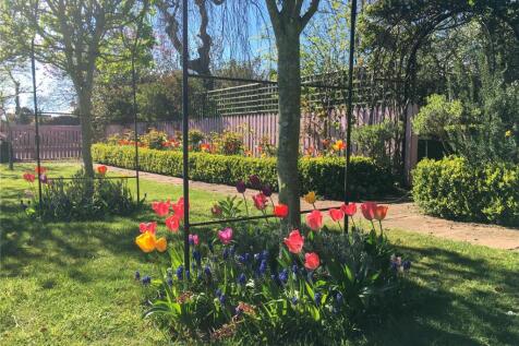 Garden In Springtime