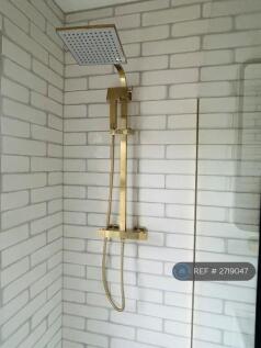 Gorgeous Brass Shower 