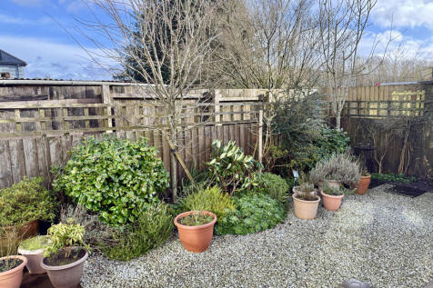 Well Stocked Shrub Border