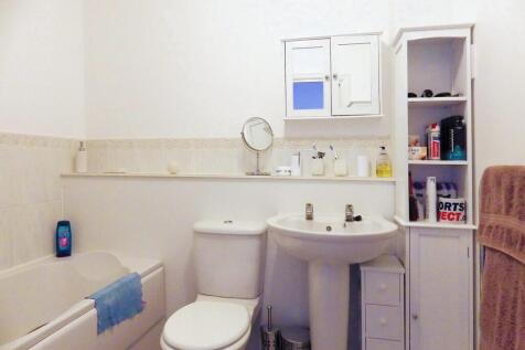 Picture 8