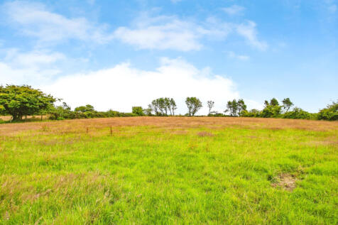 Agricultural Holding