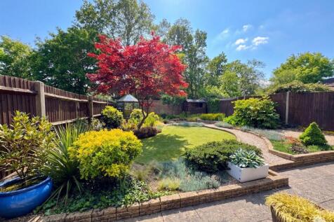 garden.jpg
