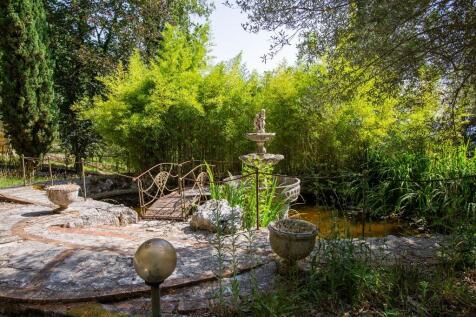 Koi Pond 