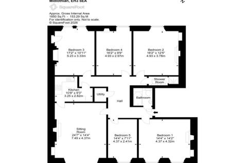 79390_Brandon_Terrac