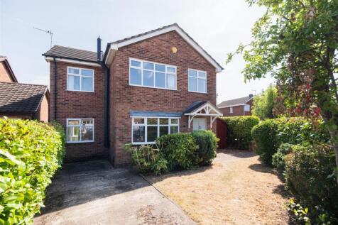 2 Verdin Close-033.jpg