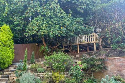 Tree House.jpg