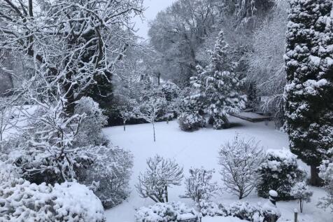 The garden in Winter