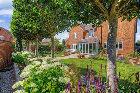 New Garden Photo ...
