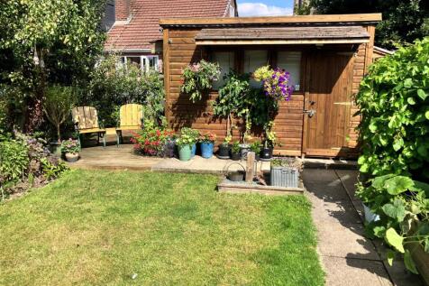 new garden 1.jpg