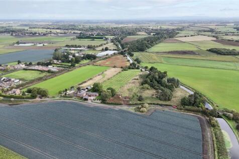 Aerial Image