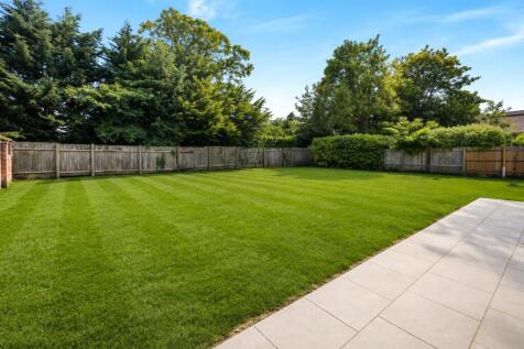 Back Garden