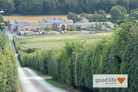 20250809_143435000_iOS 22overthehill.jpg