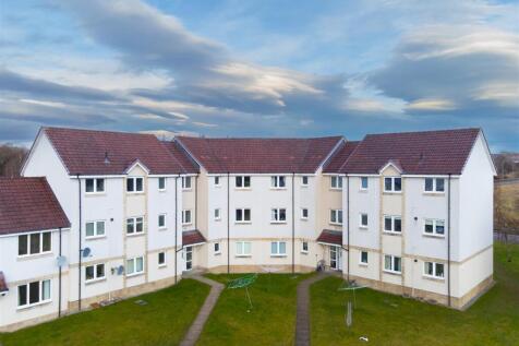 DJI_0343.jpg