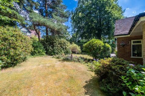 Full size-44 (Large).jpg