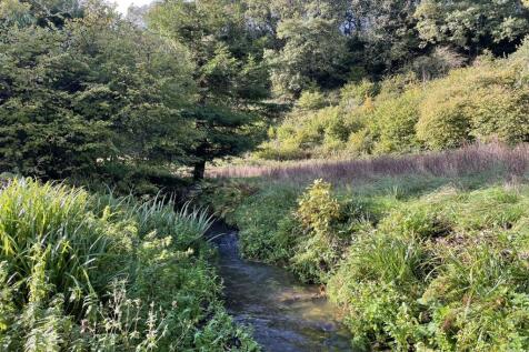 RIVER AND MEADOW.jpeg