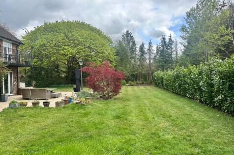 Property Image 23