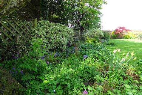 garden border.JPG