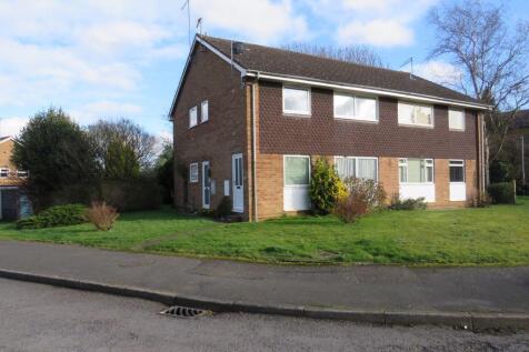 33 Ilex front shot.jpg