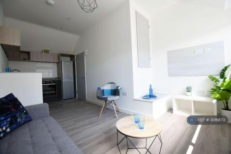 Living / Kitchen Area