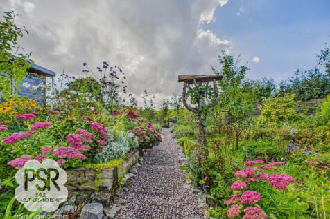 Looking Down the Garden
