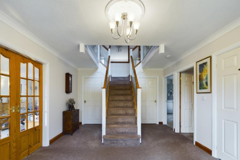 Untitled design (1).png