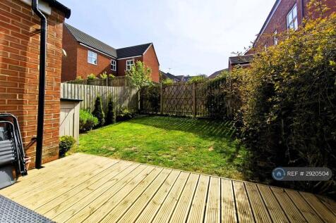 Back Garden 3