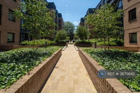 Communal Garden 